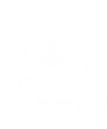 An Bróg logo